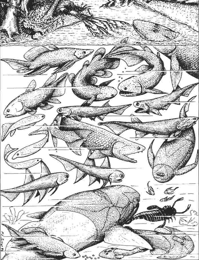 Fische